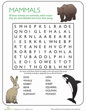 Animal Word Search: Mammals | Worksheet 