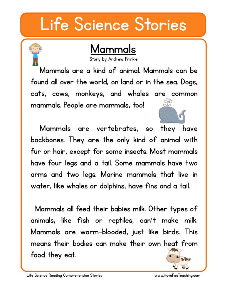 mammal worksheet