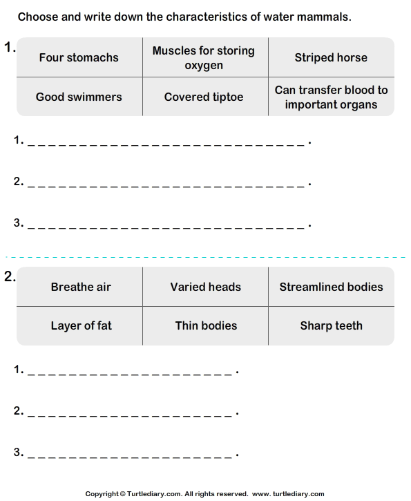 Mammal Characteristics | Turtle Diary Worksheet
