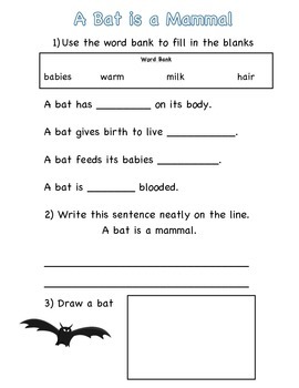 Mammals worksheet | TPT