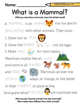 Mammals worksheet worksheets library