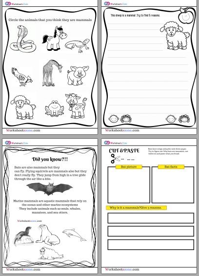 Mammals free worksheets for kids - worksheetszone