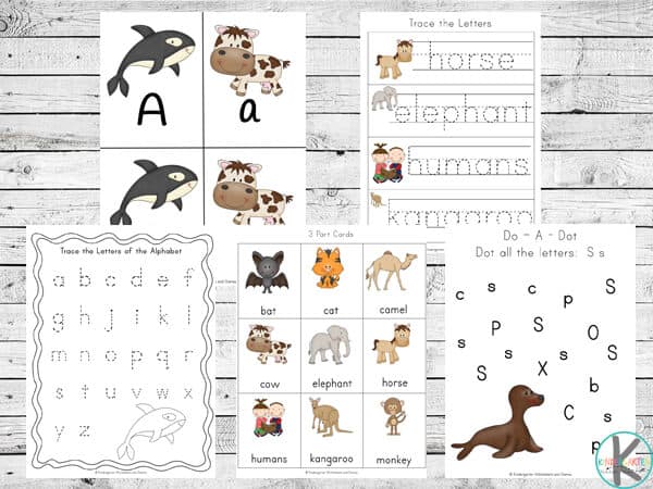 FREE Mammals Worksheet Pack for Kids