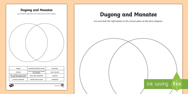 Manatee Vocabulary Worksheet for 2nd - 3rd Grade | Lesson Planet