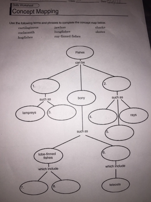 Solved Date Skills Worksheet Concept Mapping Use the | Chegg.com