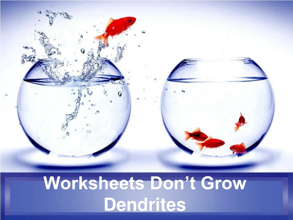 marcia tate worksheet don t grow dendrites
