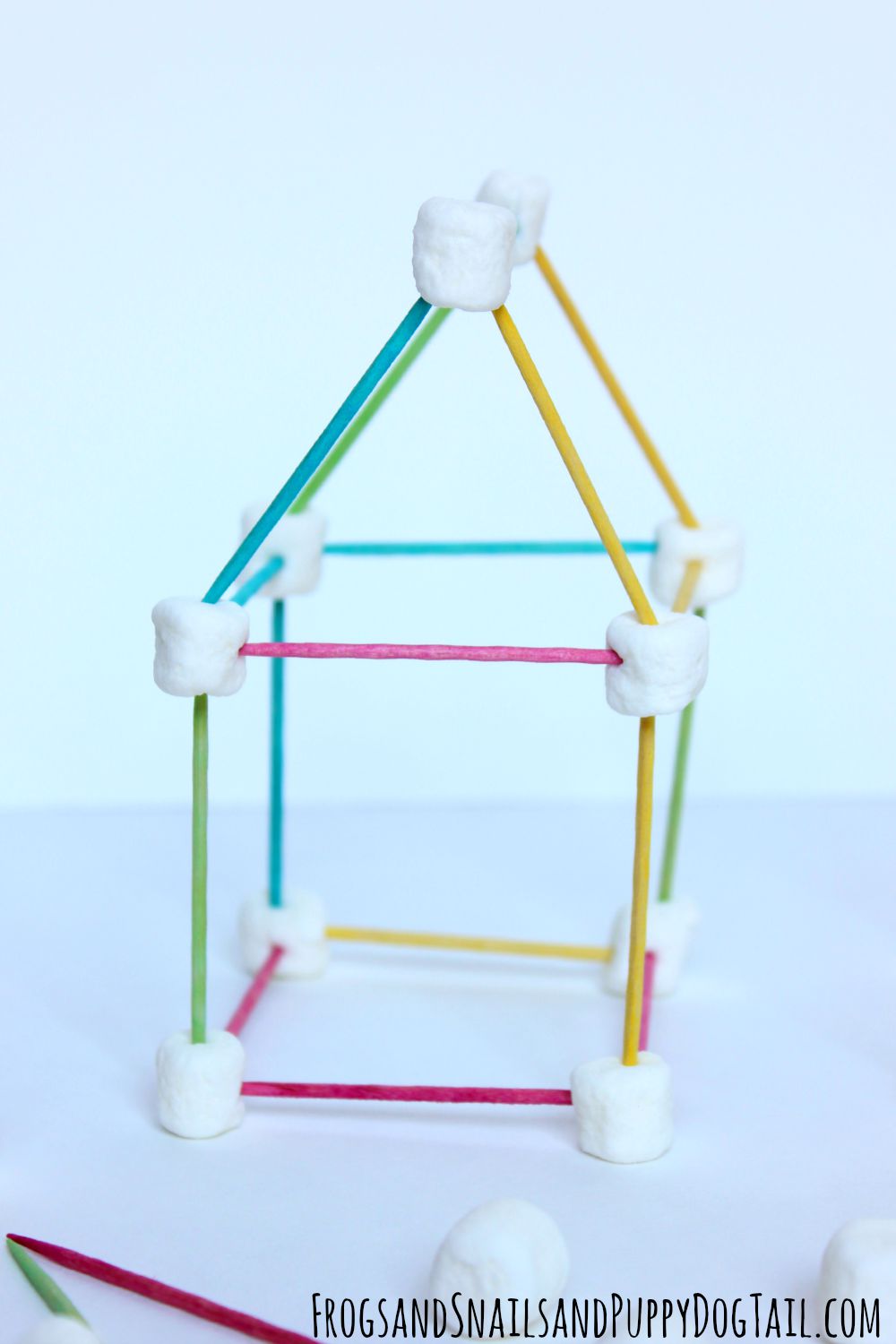 Toothpick and Marshmallow Building - FSPDT