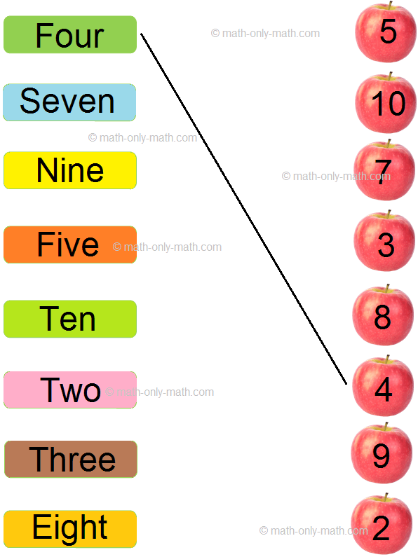 Numbers and their Names | Match the following Numbers to their Names