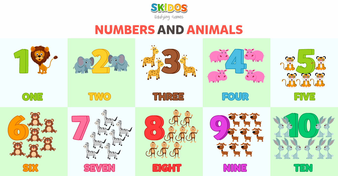 math vocabulary for 1st grade