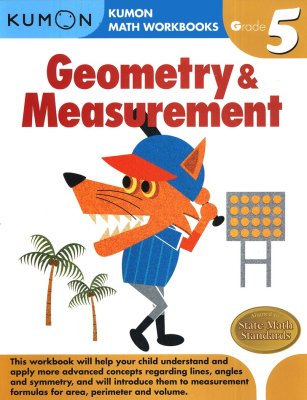 math workbooks for 5th grade