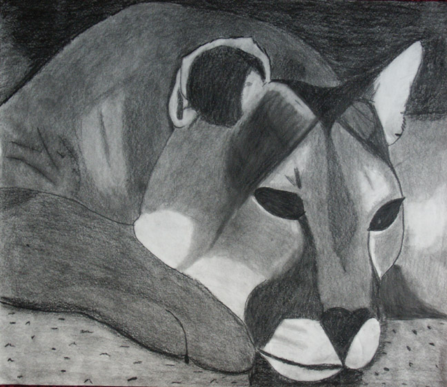 math worksheet for middle school art