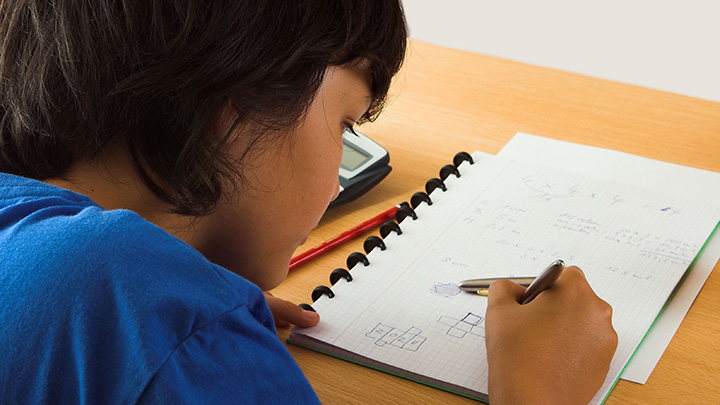 mathematics worksheet online