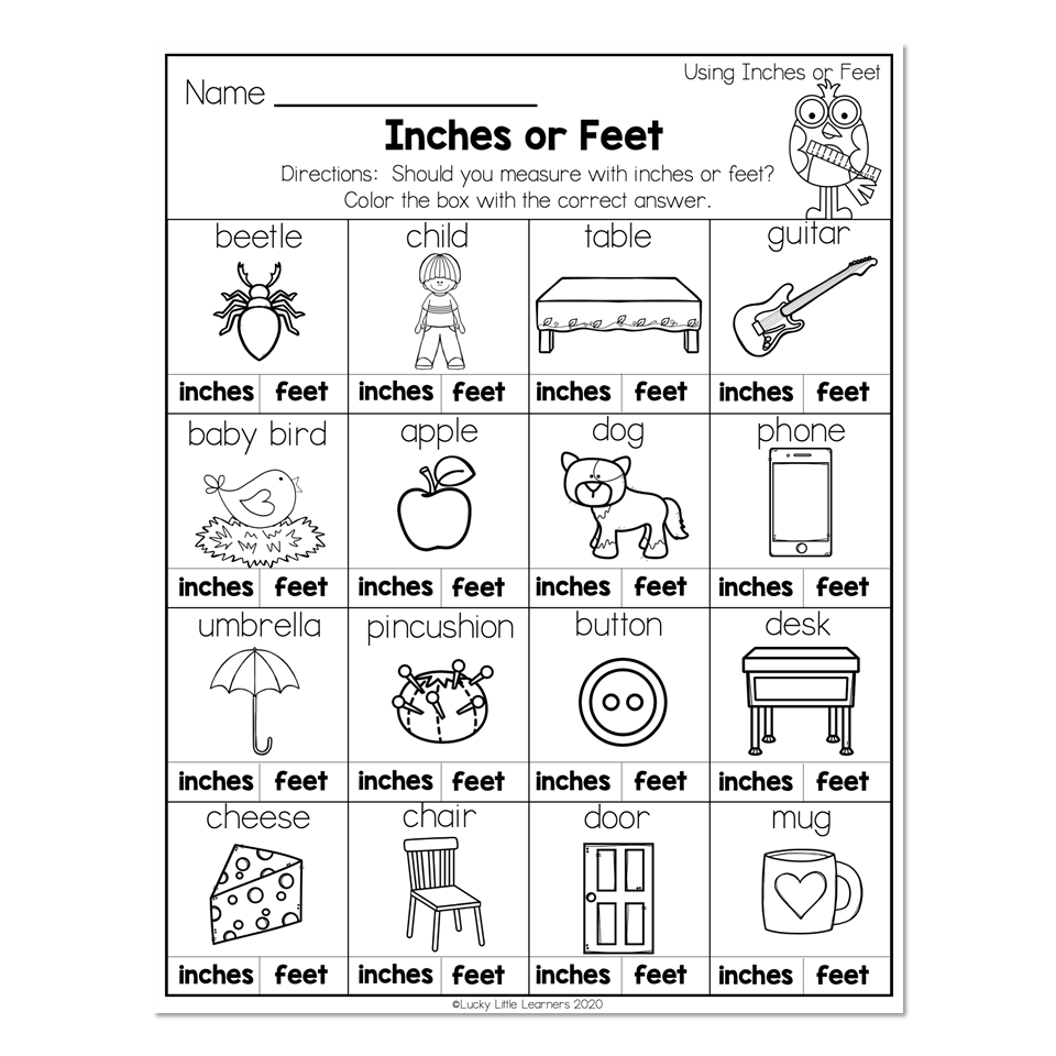 measure inches worksheet
