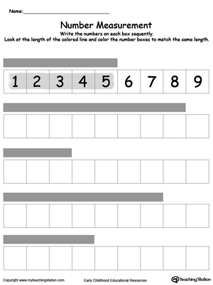 Kindergarten Measurement Printable Worksheets | MyTeachingStation.com