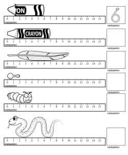 measurement worksheet for 3rd grade