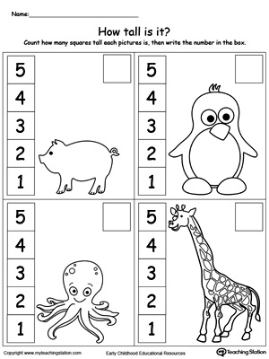 measurement worksheet for kids
