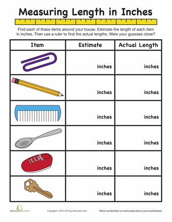 Measure in Inches | Worksheet 