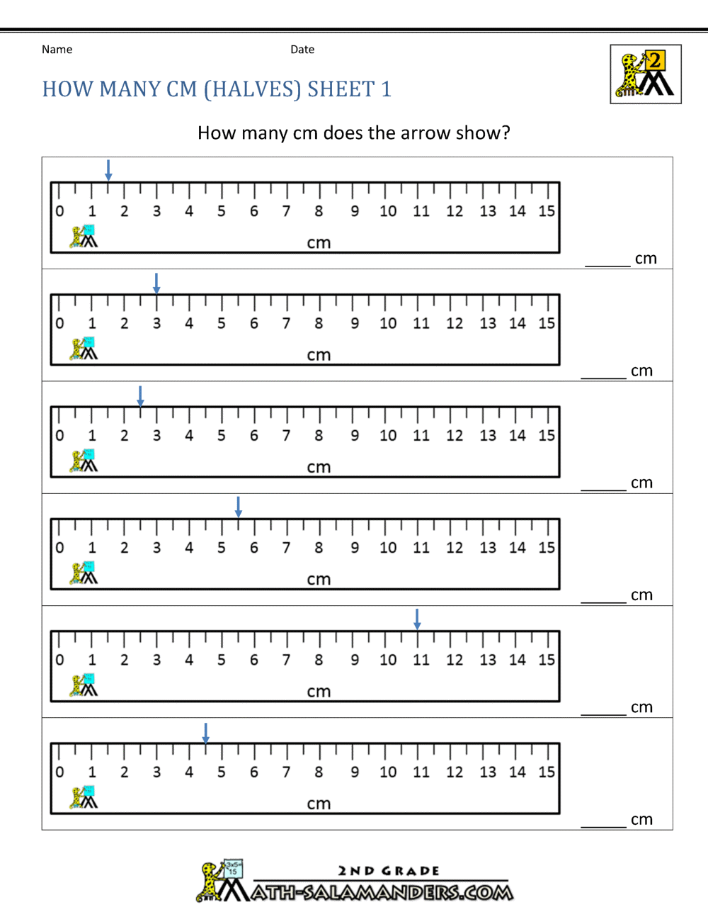measuring in centimeters worksheet grade 2