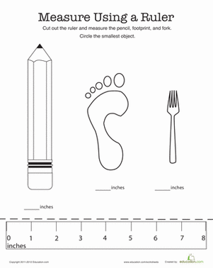 Measure Using a Ruler | Worksheet 