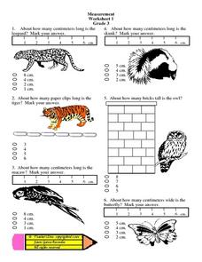 Measurement: Worksheet 1: Grade 3 Lesson Plan for 3rd Grade ...