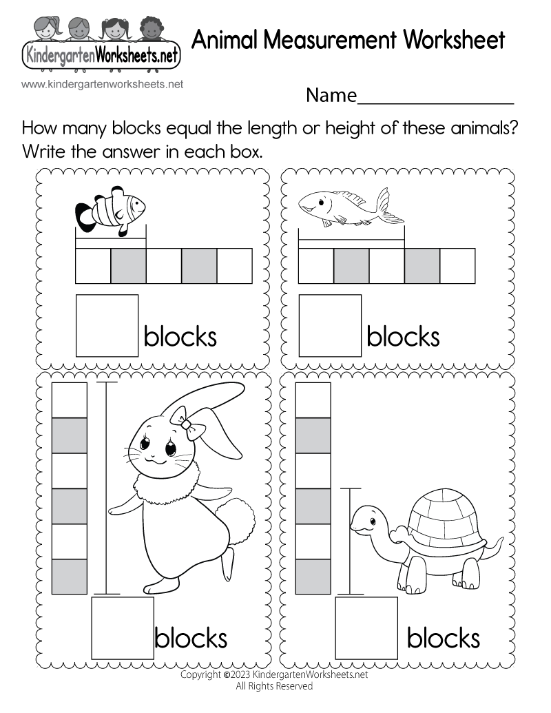 measuring worksheet for kindergarten