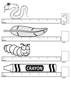 2nd Grade Measurement - Worksheets, Lessons, and Printables