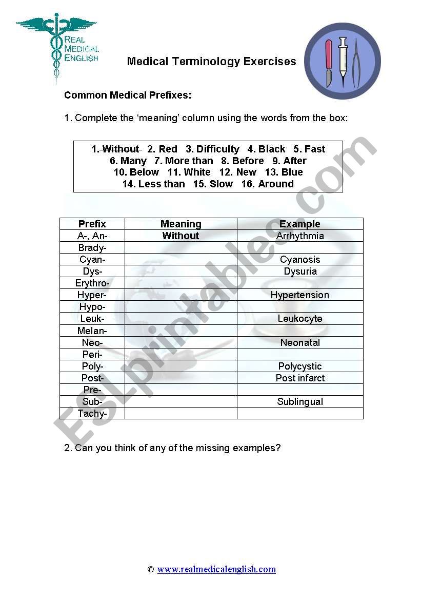 2. Medical Terminology - Prefixes - ESL worksheet by ...