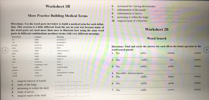 Solved Worksheet 1B More Practice Building Medical Terms 6 ...