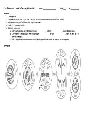 meiosis coloring worksheet
