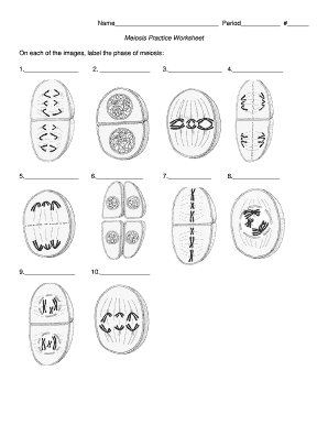 Meiosis Worksheet Label The Phases - Fill and Sign Printable ...