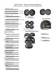 MeiosisPhases.docx - CELLS alive! - Meiosis Phase Worksheet Match ...
