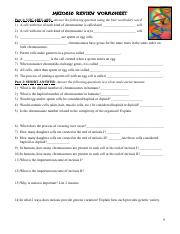 meiosis vocabulary worksheet