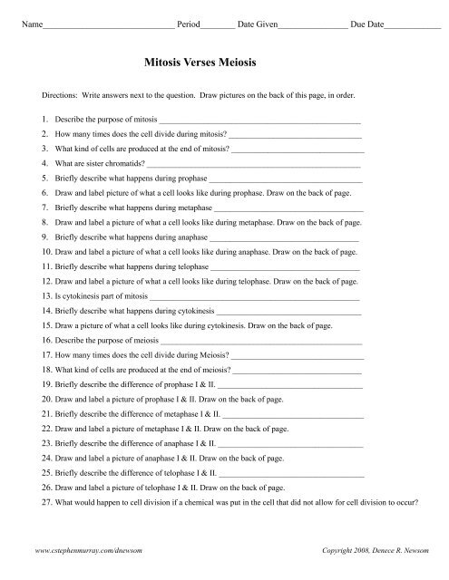 meiosis worksheet answers key