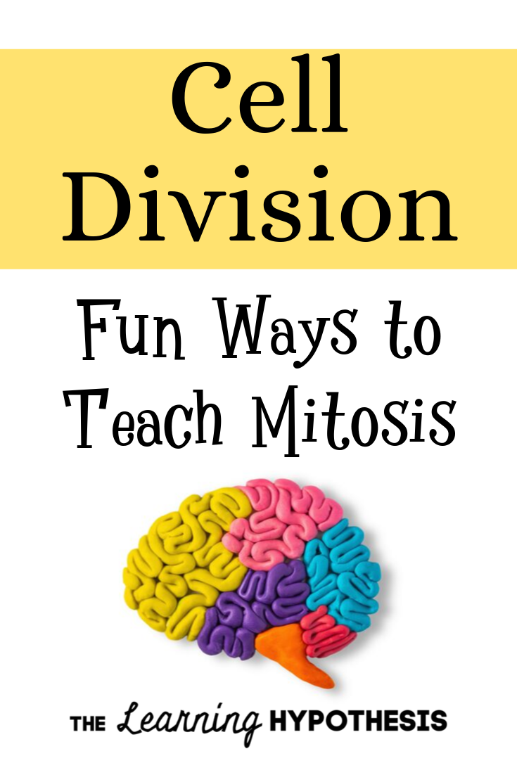 Fun Ways to Teach Mitosis. Middle School and High School Ideas