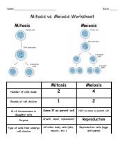 Mitosis vs. Meiosis Chart.pdf - Name Block Mitosis vs. Meiosis ...
