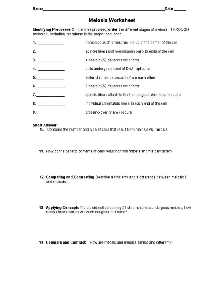 meiosis worksheet for middle school
