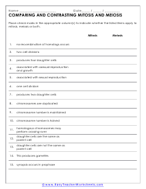 Mitosis and Meiosis Worksheets