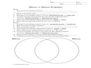 meiosis worksheet middle school