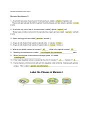 meiosis worksheet pdf