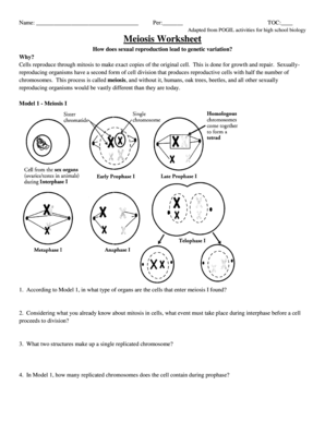 meiosis worksheet pdf
