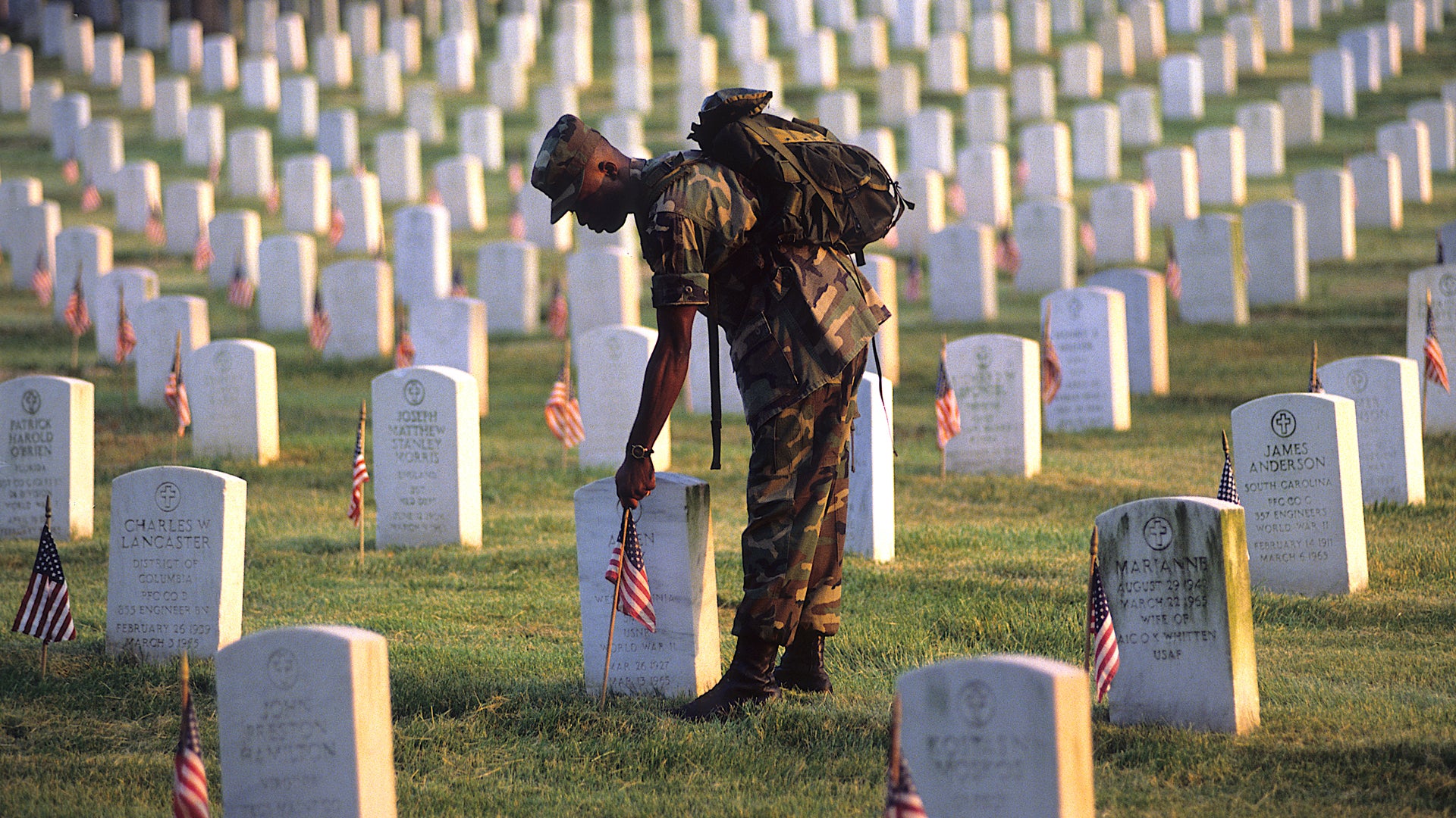 Always Remember: A Minnesota Tribute to Veterans Weve Lost - Twin ...