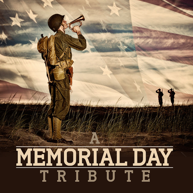 A Tribute to #MemorialDay…THANK YOU | Memorial day quotes ...