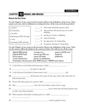Mendel and Meiosis Worksheet for 9th - 12th Grade | Lesson Planet