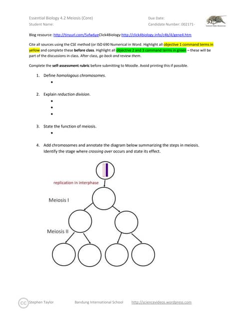 Essential Biology 4.2 &  10.1 Meiosis (Core &  AHL) | PDF