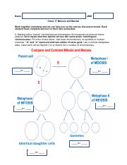 mendel and meiosis worksheet answers