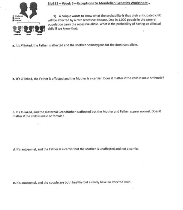 mendel genetics worksheet