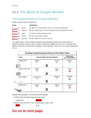 mendel worksheet answers