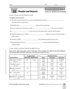 mendel worksheet answers