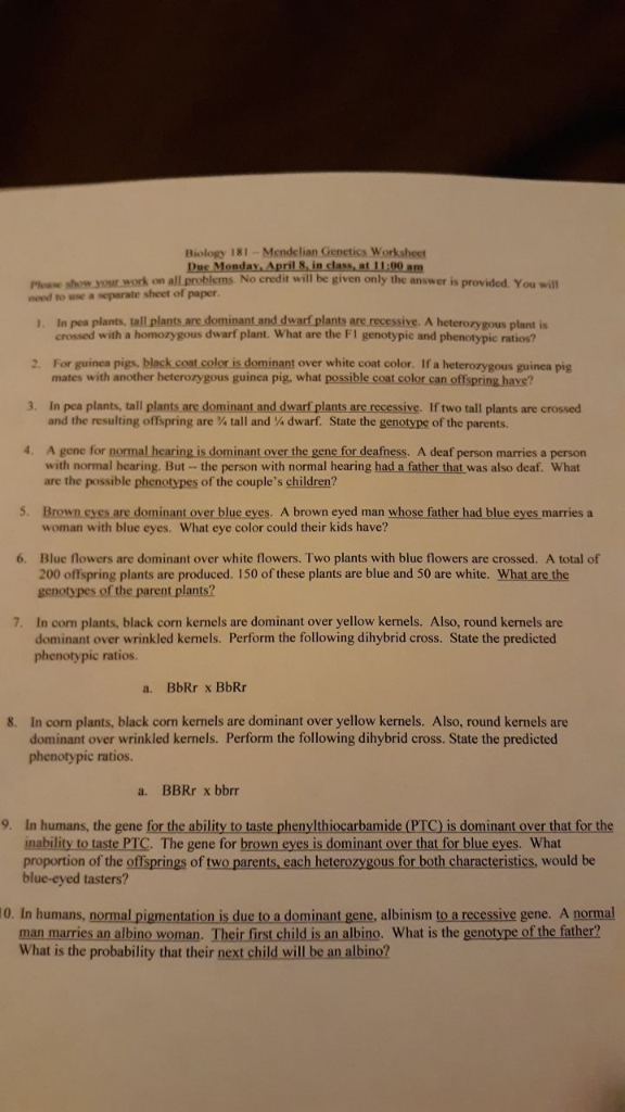 mendelian genetics worksheet answers