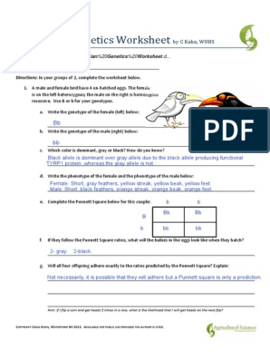 Mendelian Genetics Worksheet | PDF | Genotype | Dominance (Genetics)